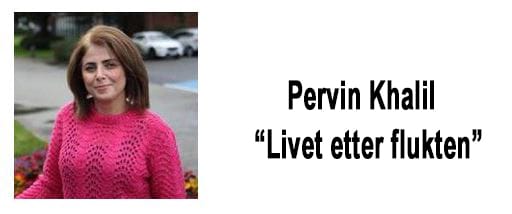 pervin-lag-logo pervin-lag-logo
